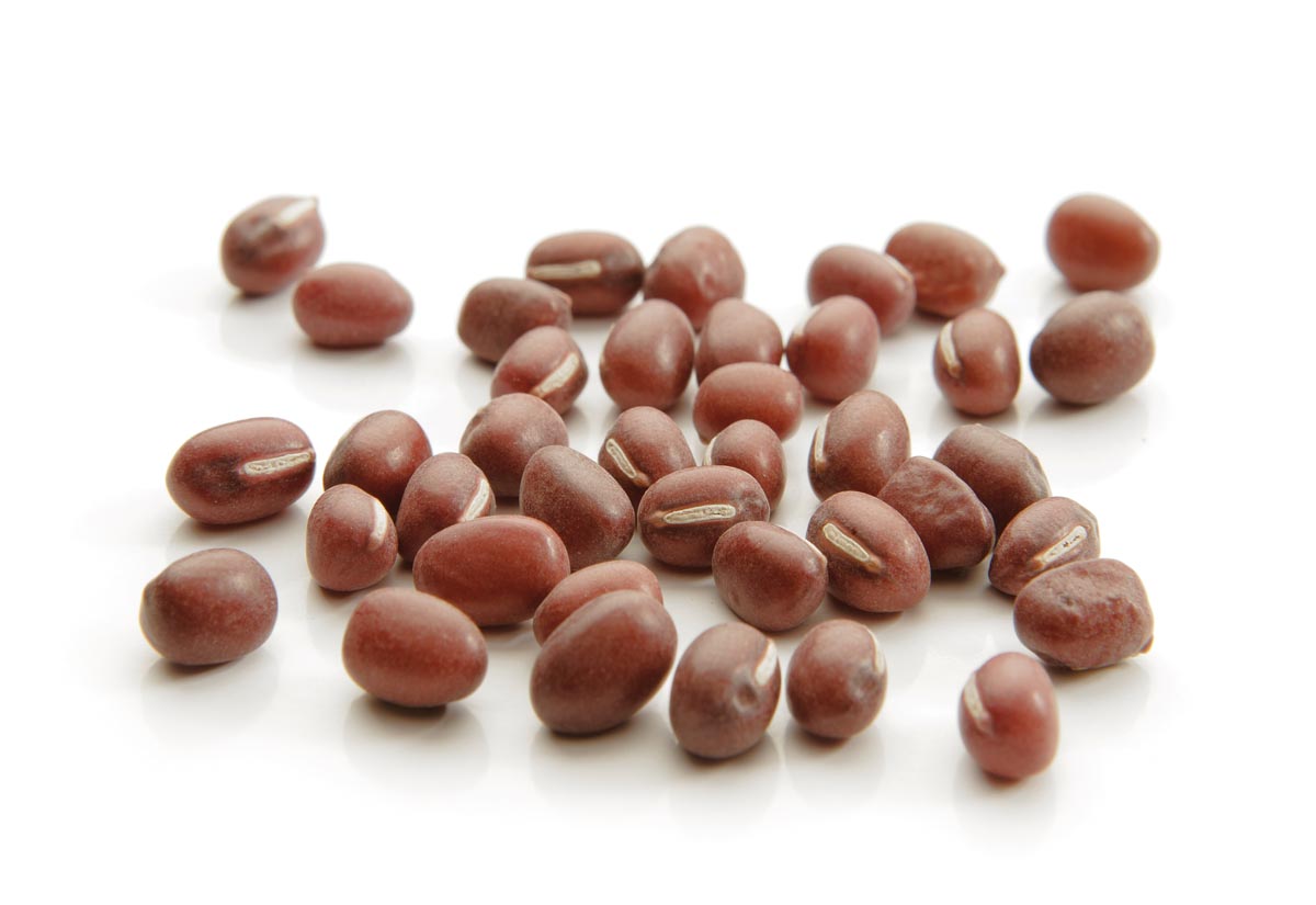 Azuchi red beans