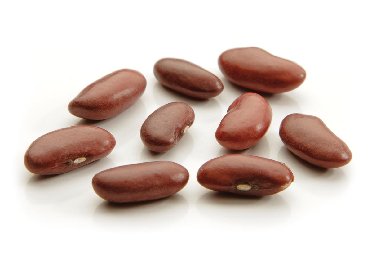Dark red beans