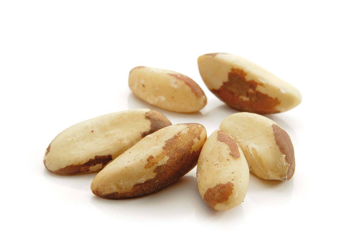 Brazil nuts - Sinisi srl