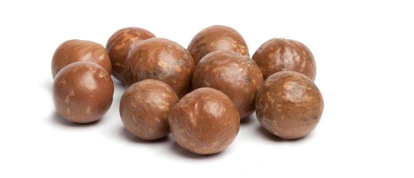 Macadamia nuts - Sinisi srl