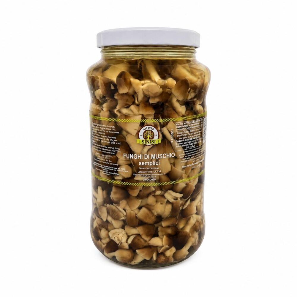 Funghi di muschio semplici 3100 ml